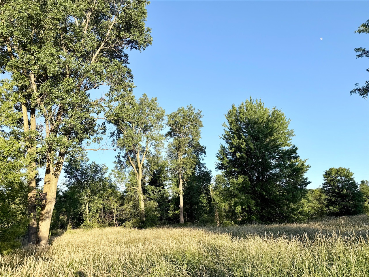 main property photo 59