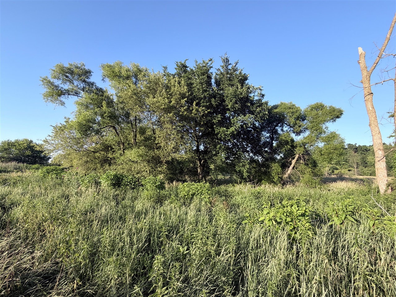 main property photo 63