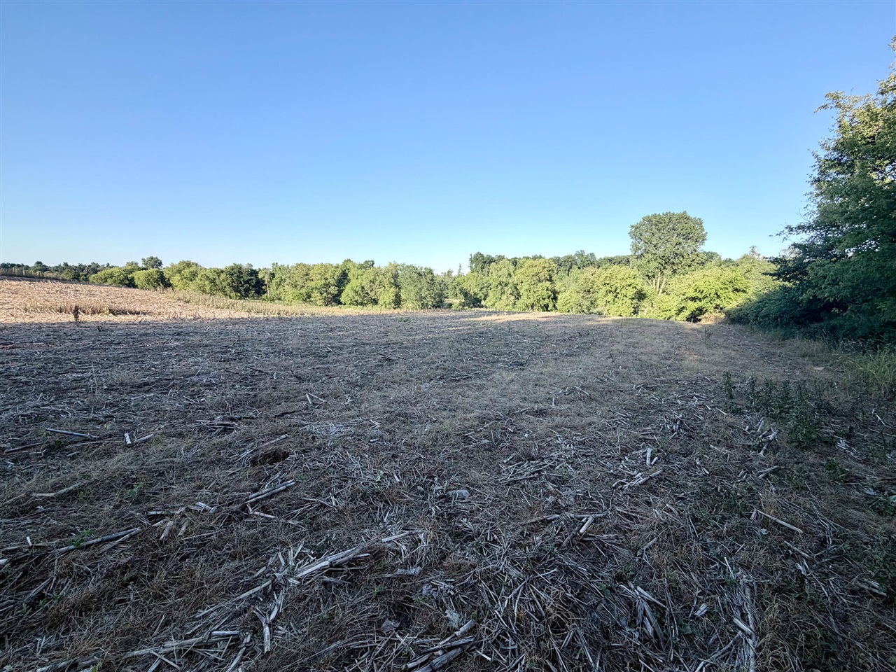 main property photo 66