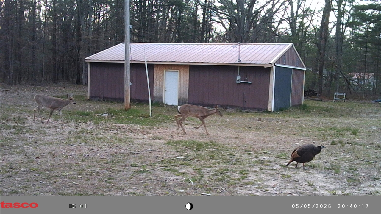 main property photo 31
