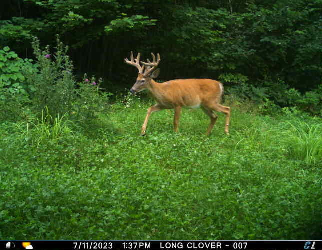 main property photo 17