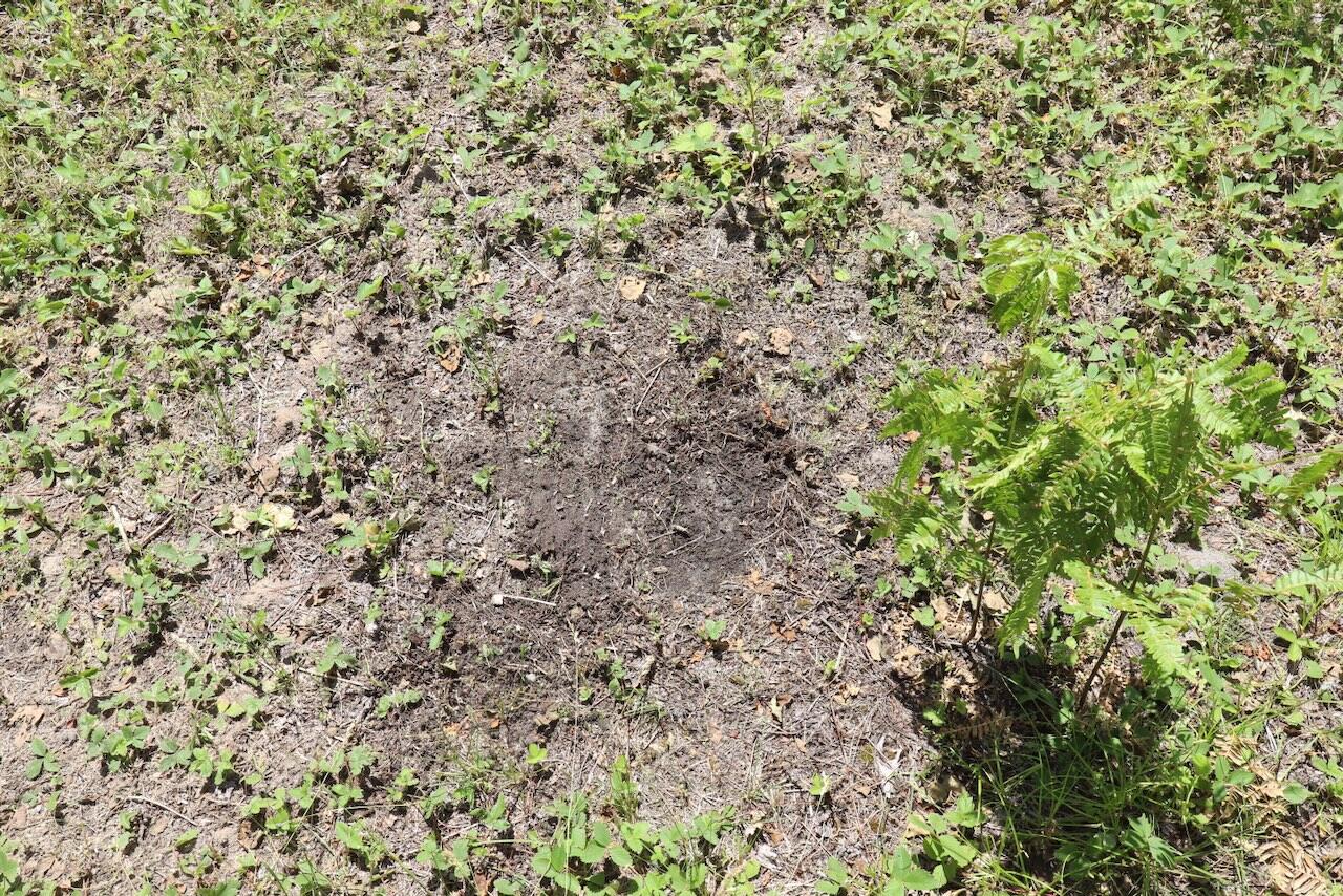 main property photo 54