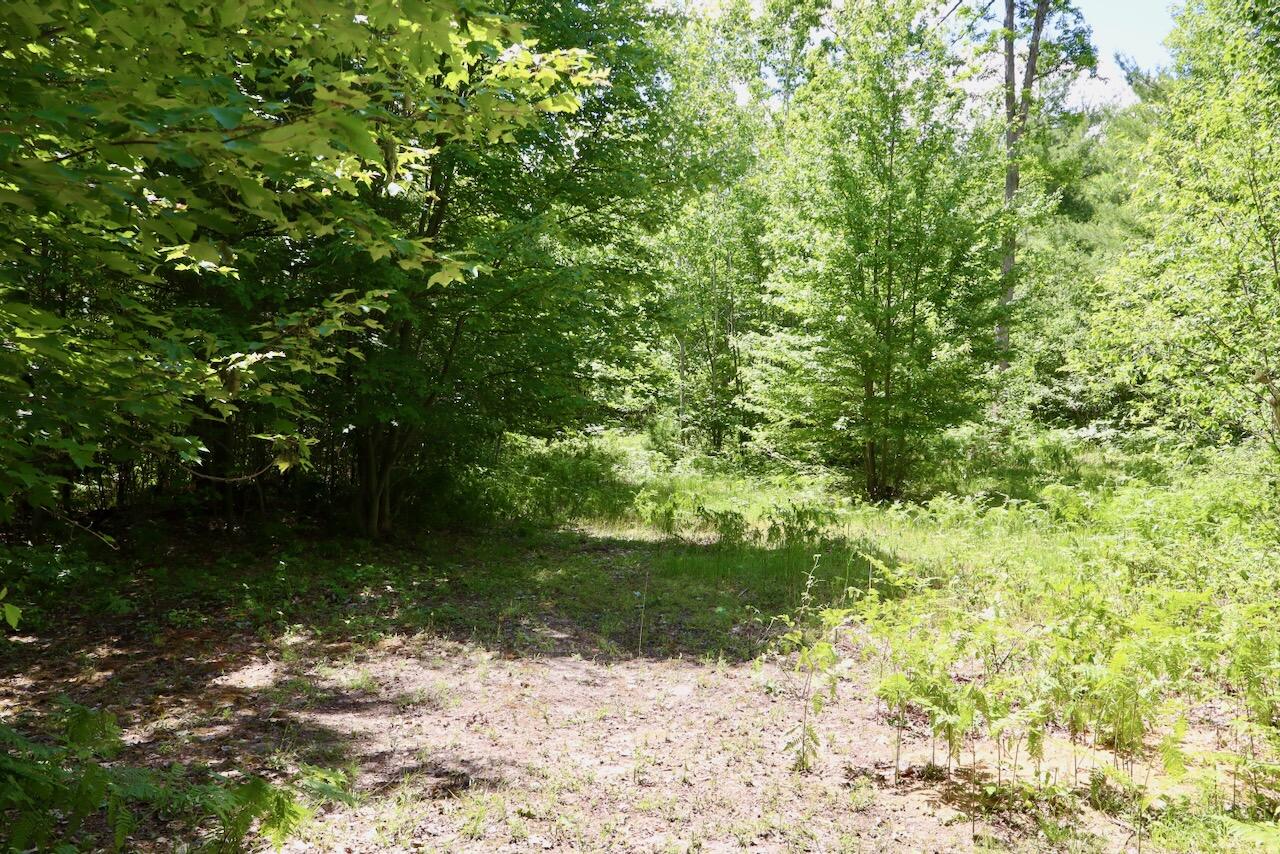 main property photo 63