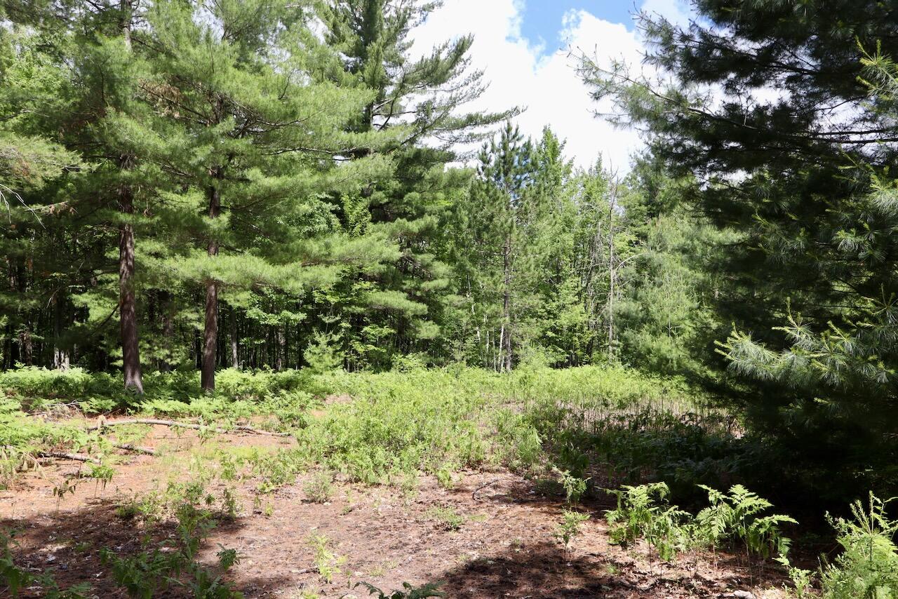 main property photo 68