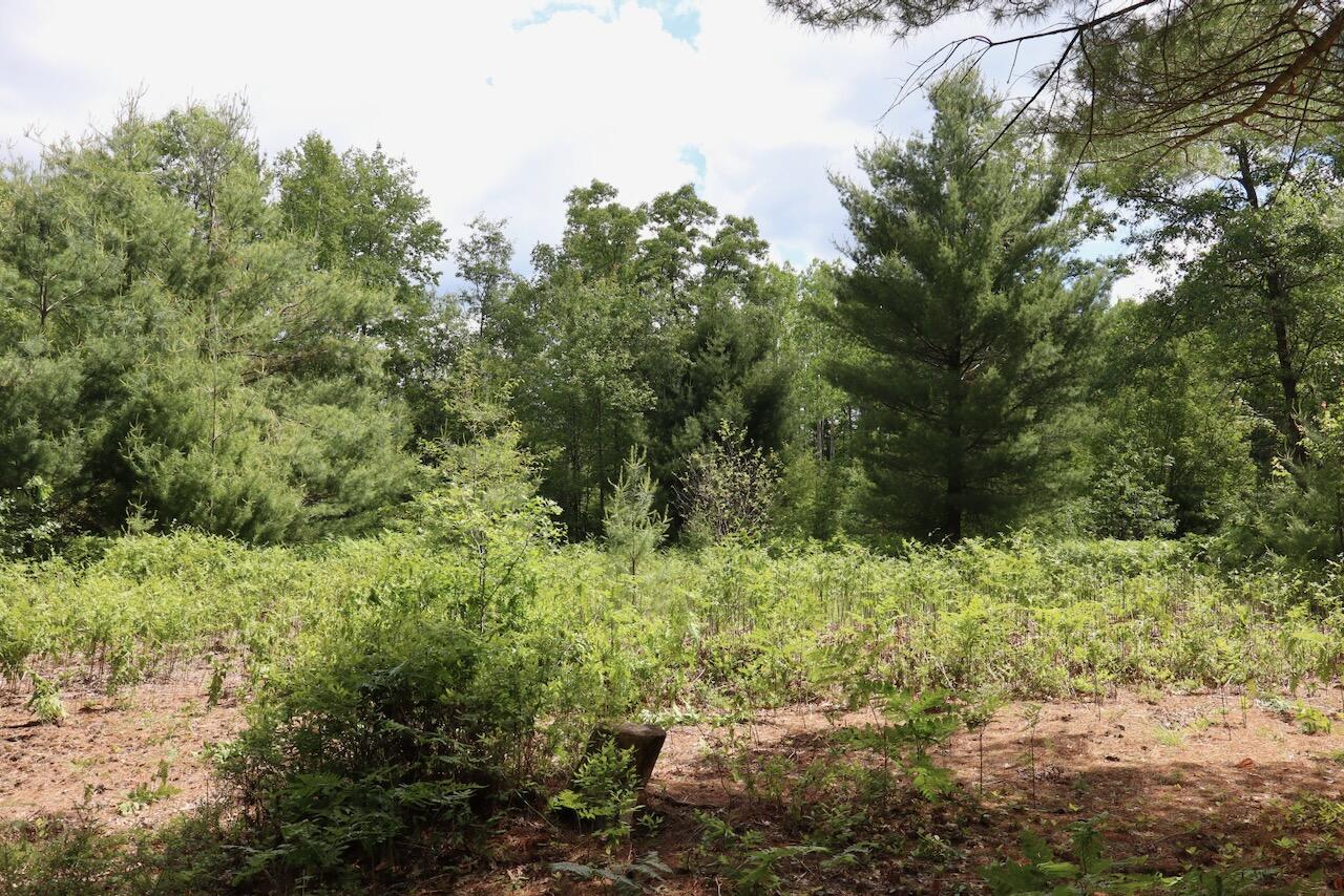 main property photo 69