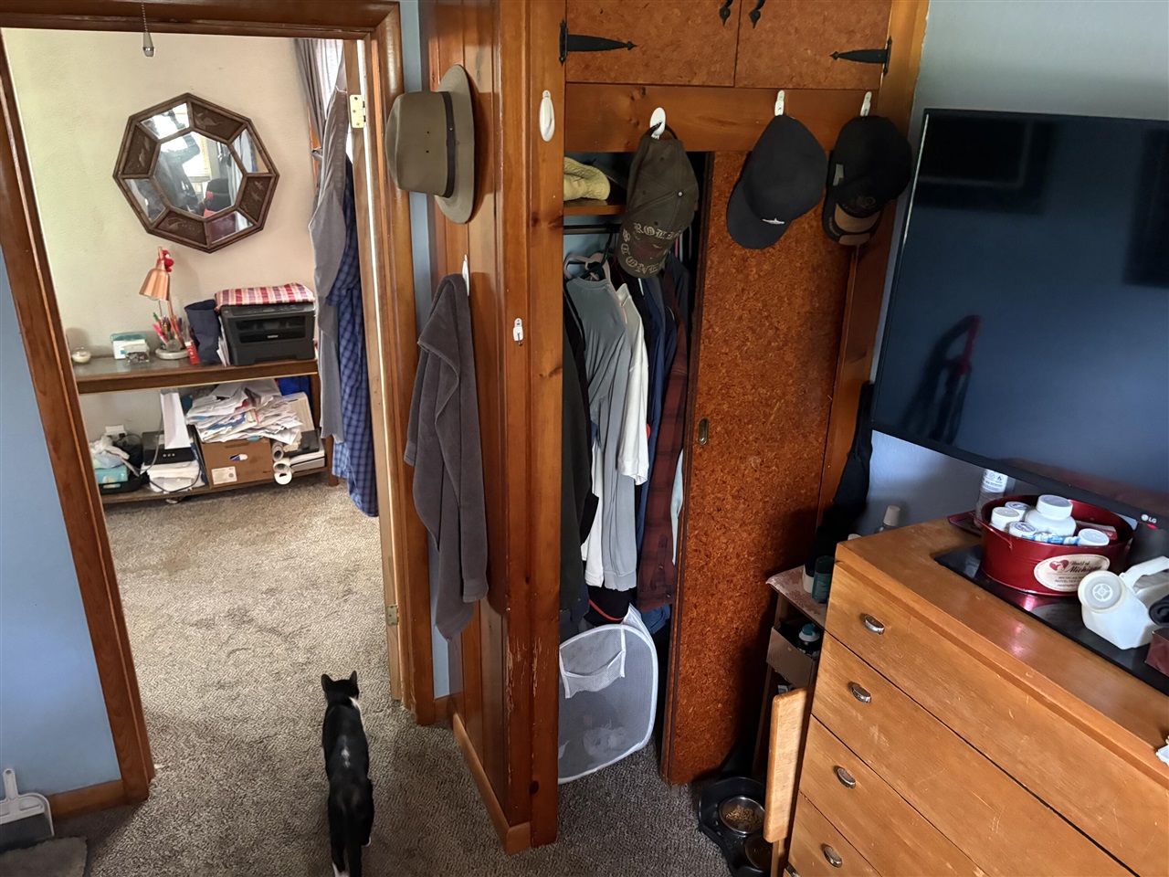 main property photo 17