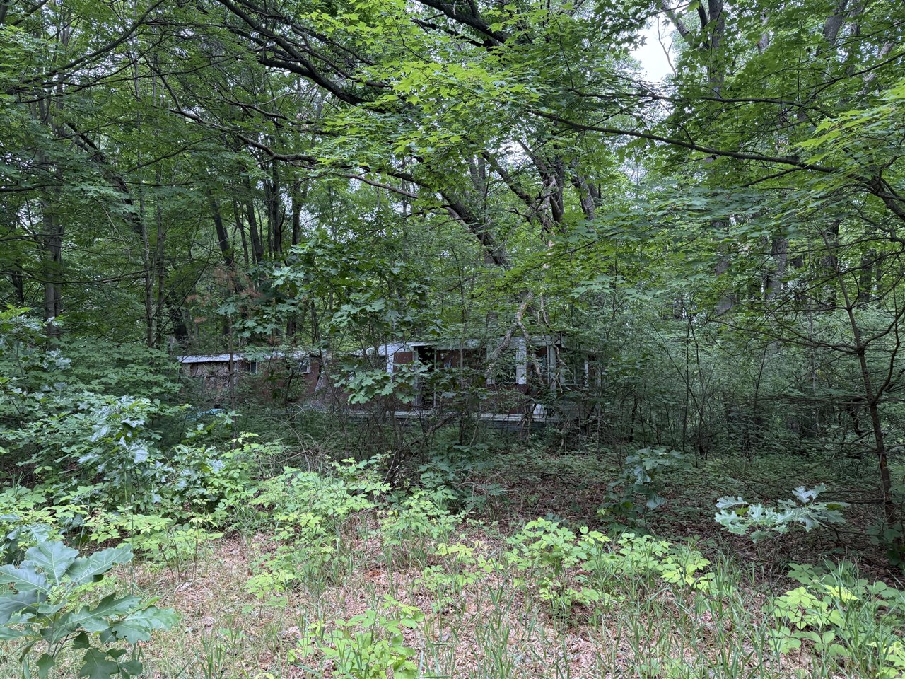 main property photo 8