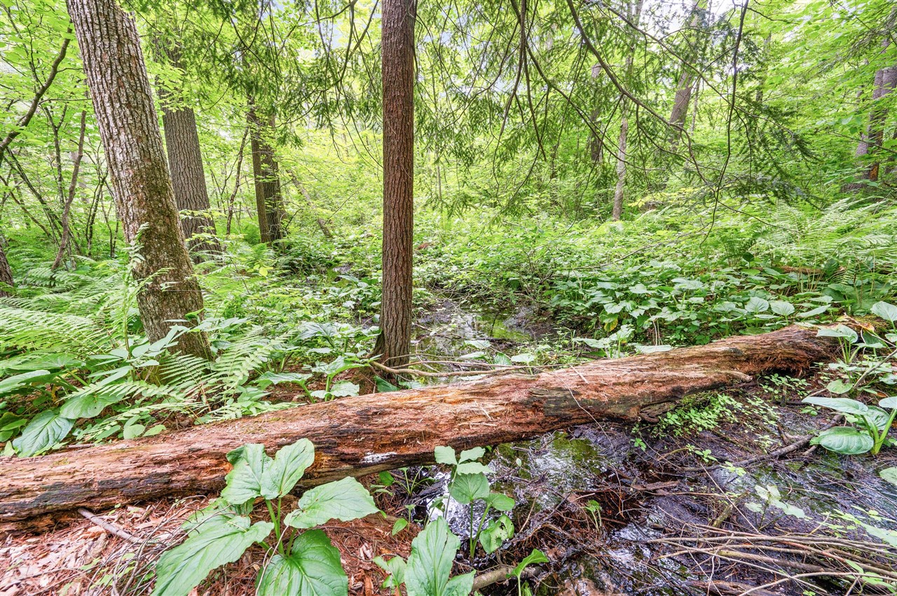 main property photo 76