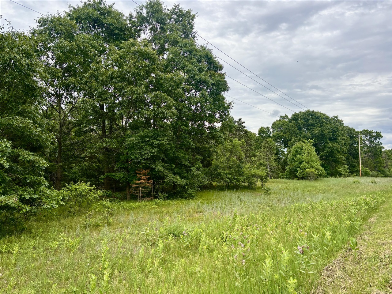 main property photo 0