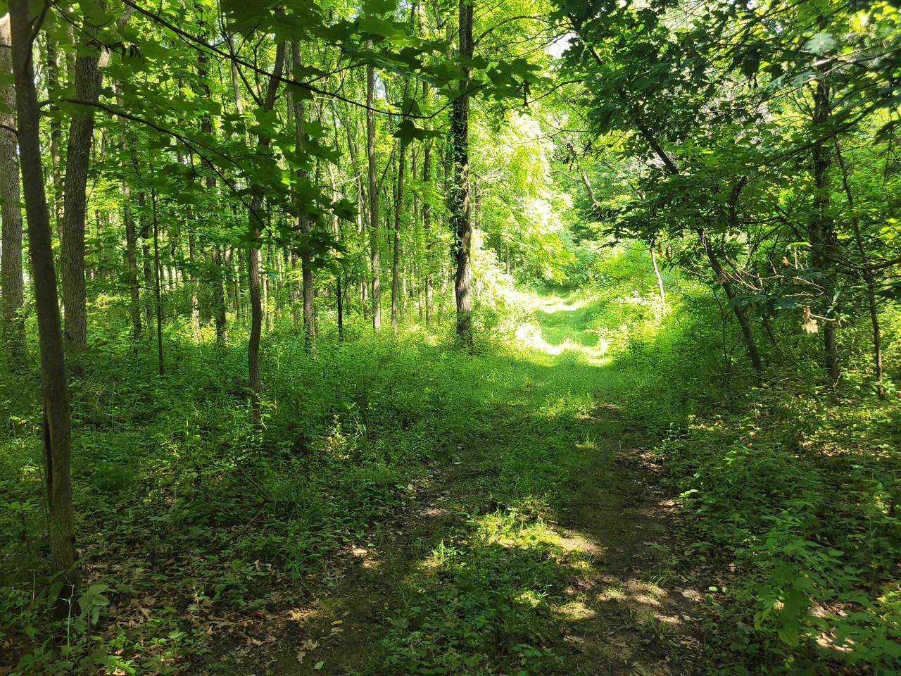 main property photo 26