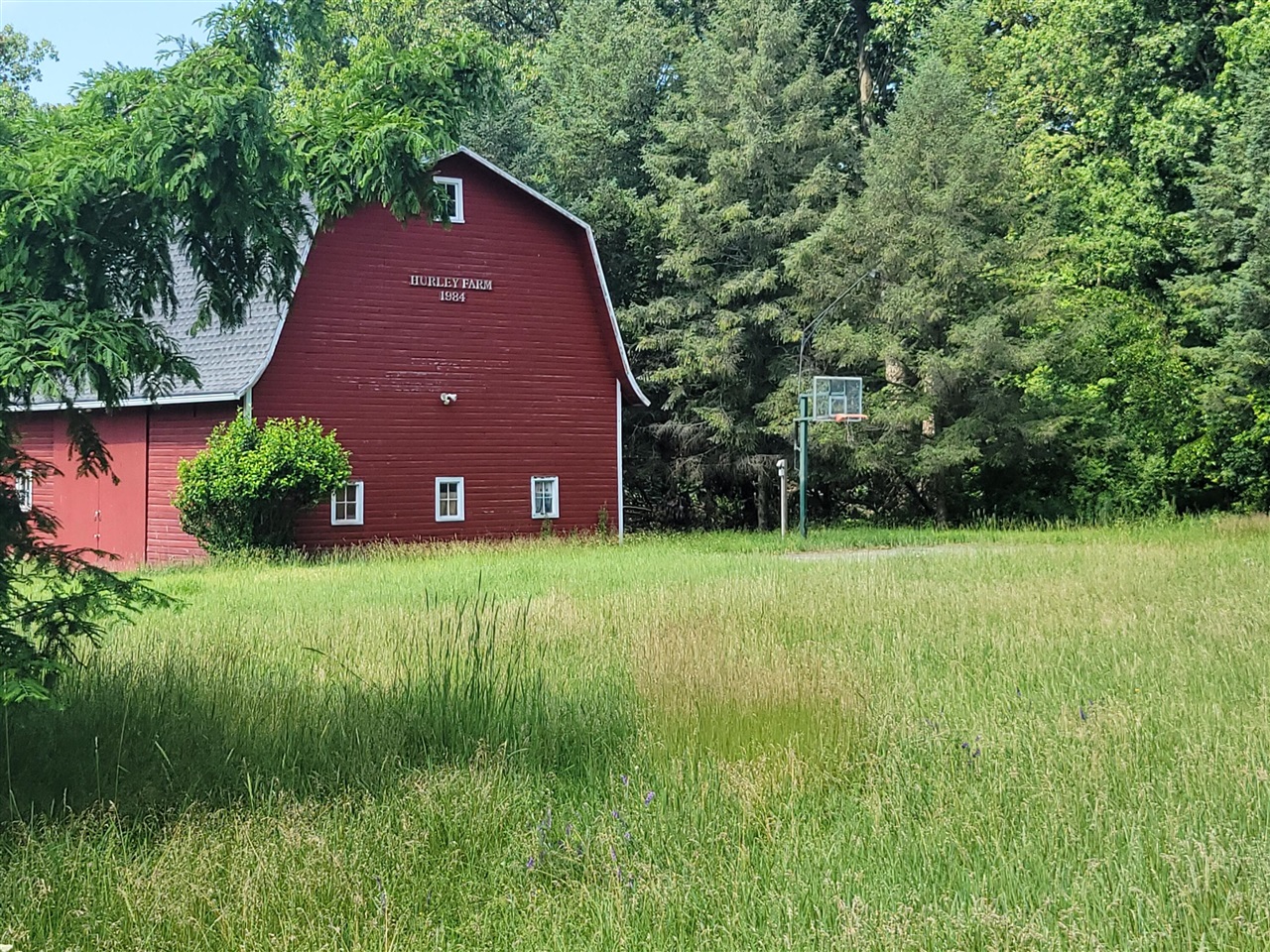main property photo 9