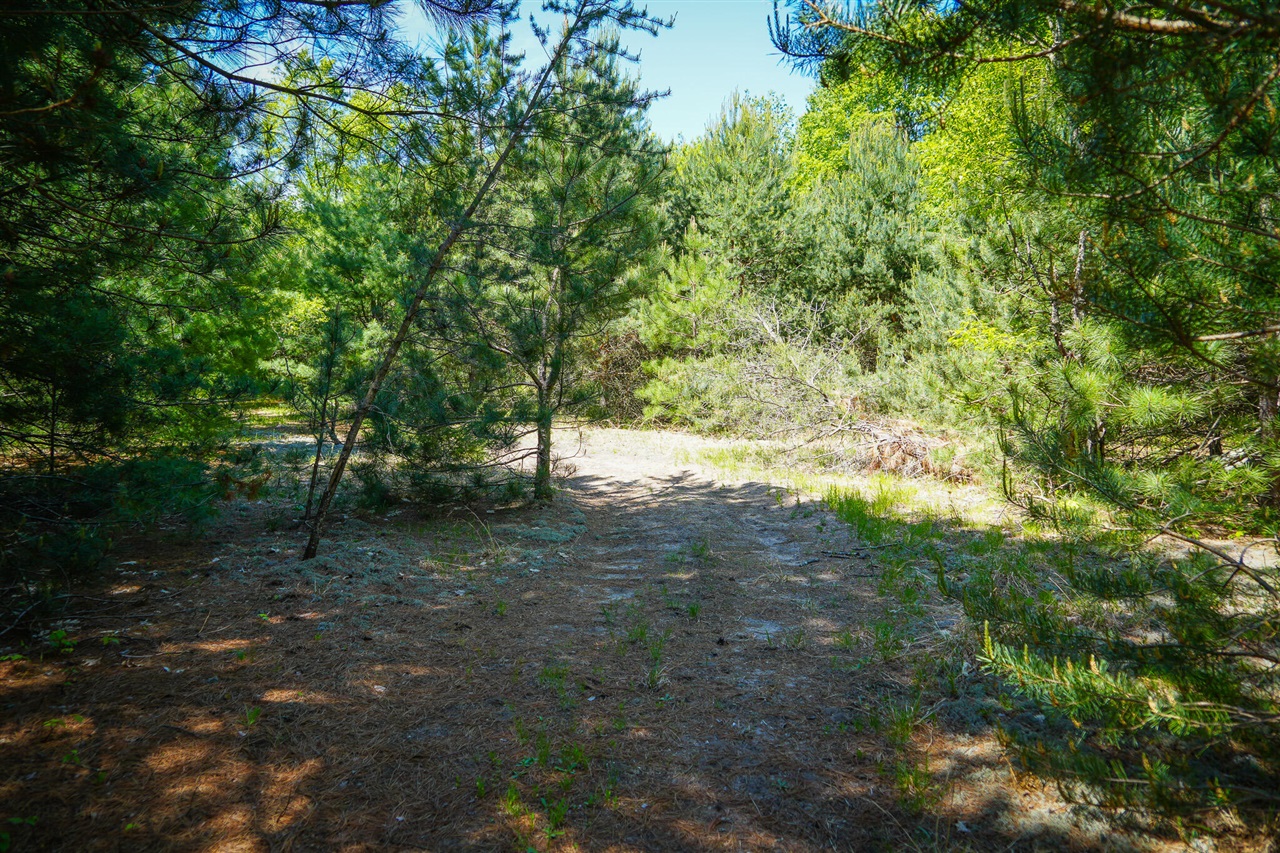main property photo 11