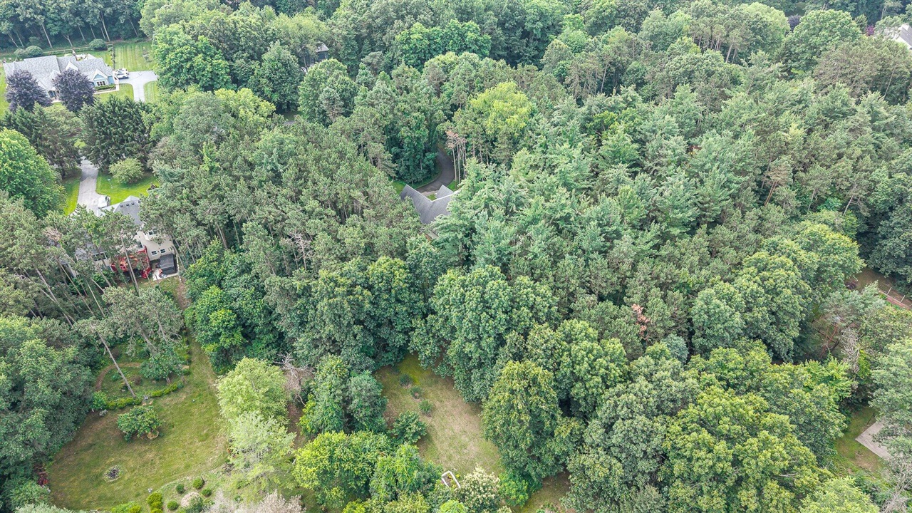 main property photo 61