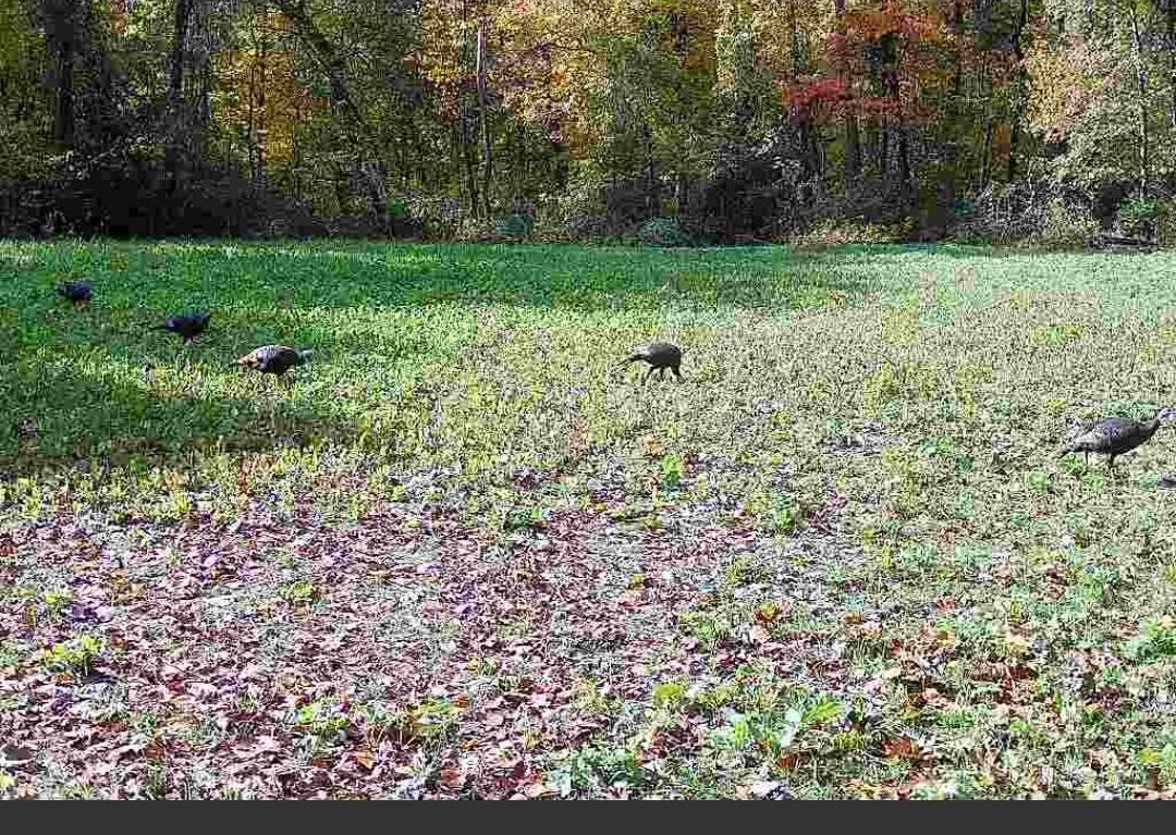main property photo 36