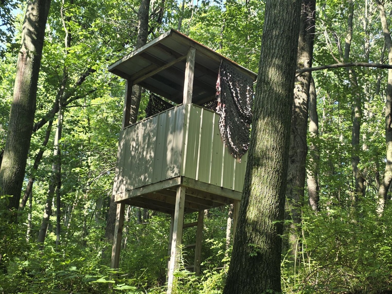 main property photo 48