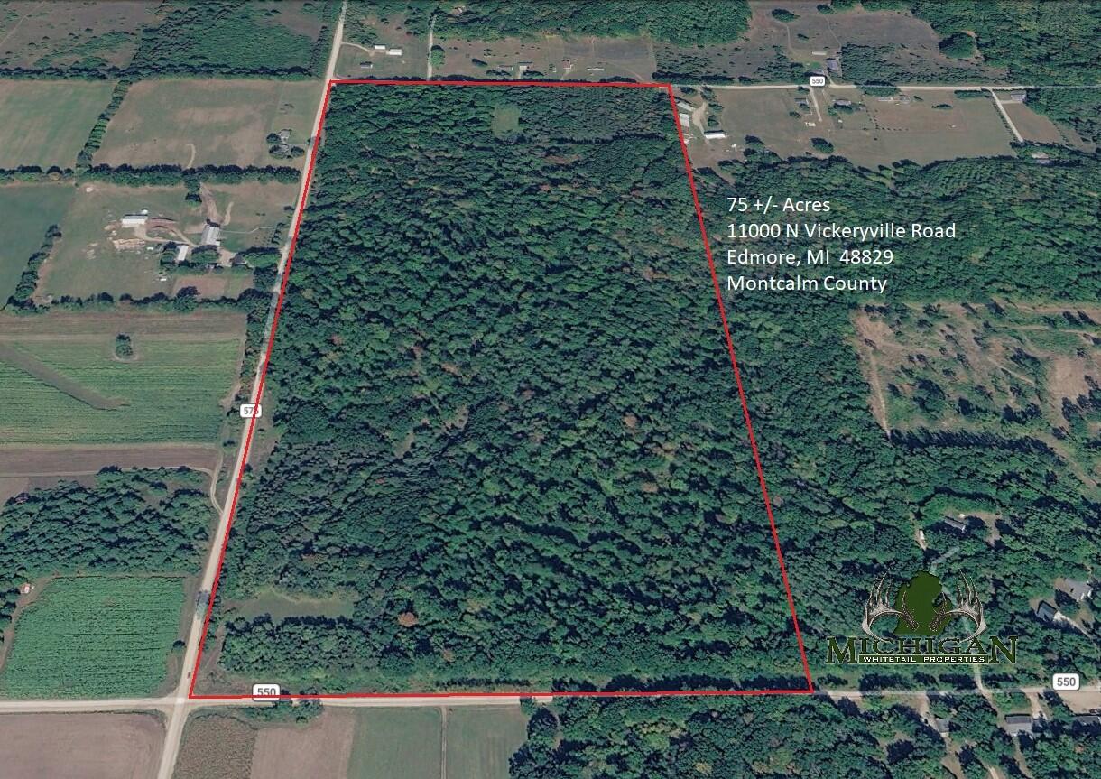 main property photo 0