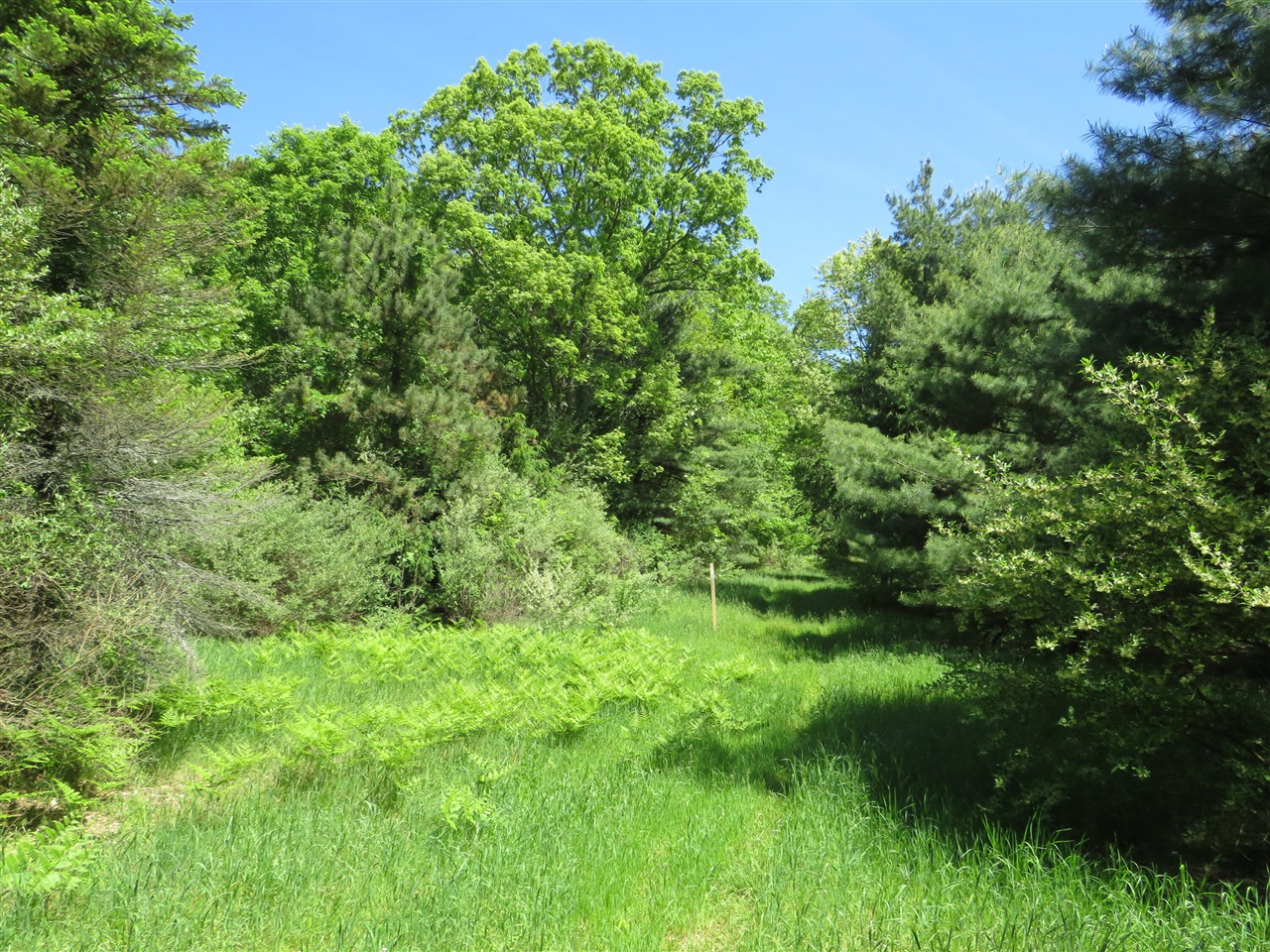 main property photo 22