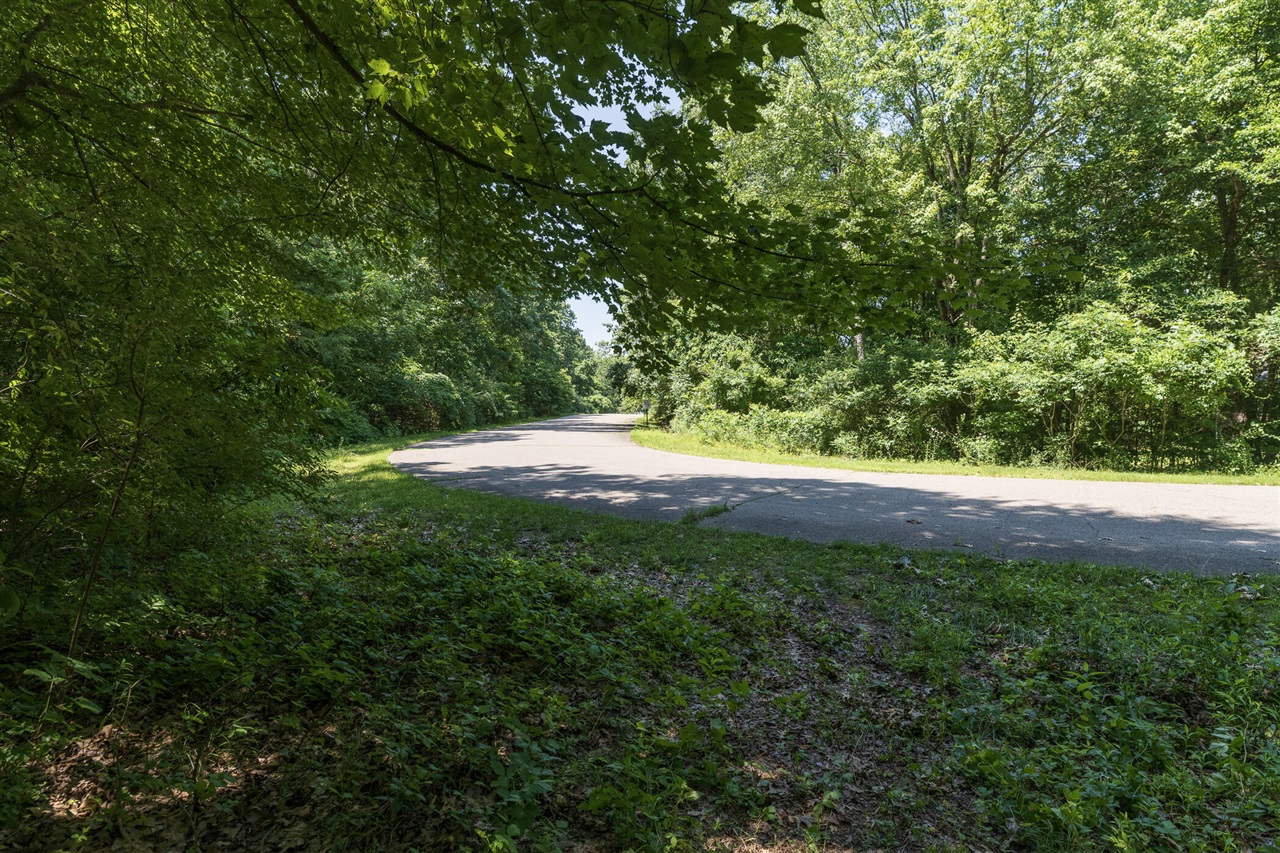 main property photo 9