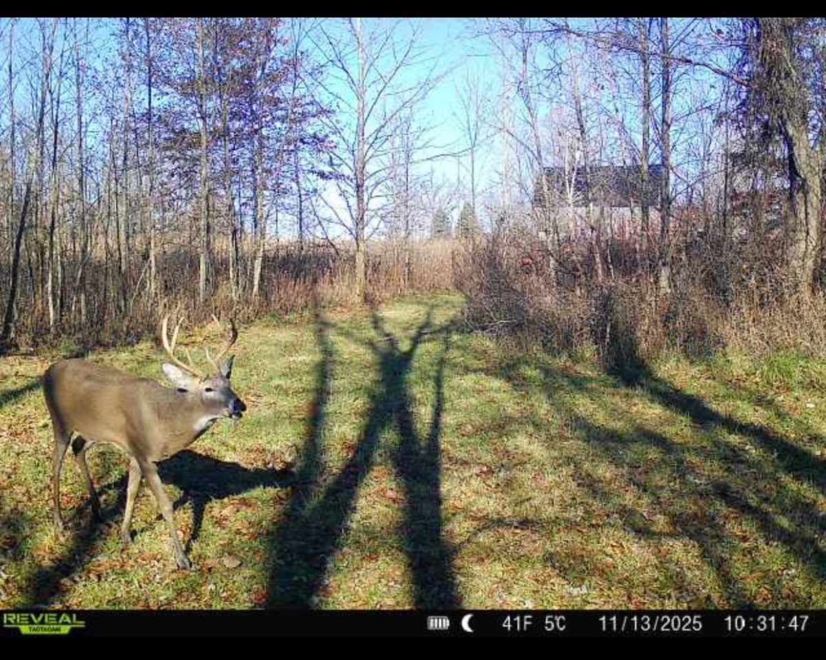 main property photo 41