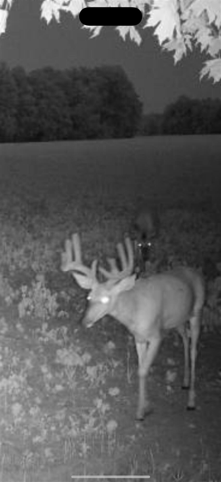 main property photo 55