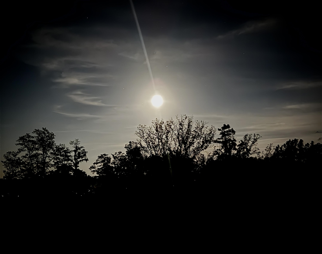 main property photo 53