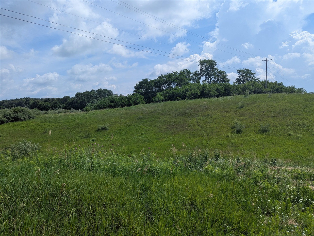 main property photo 0