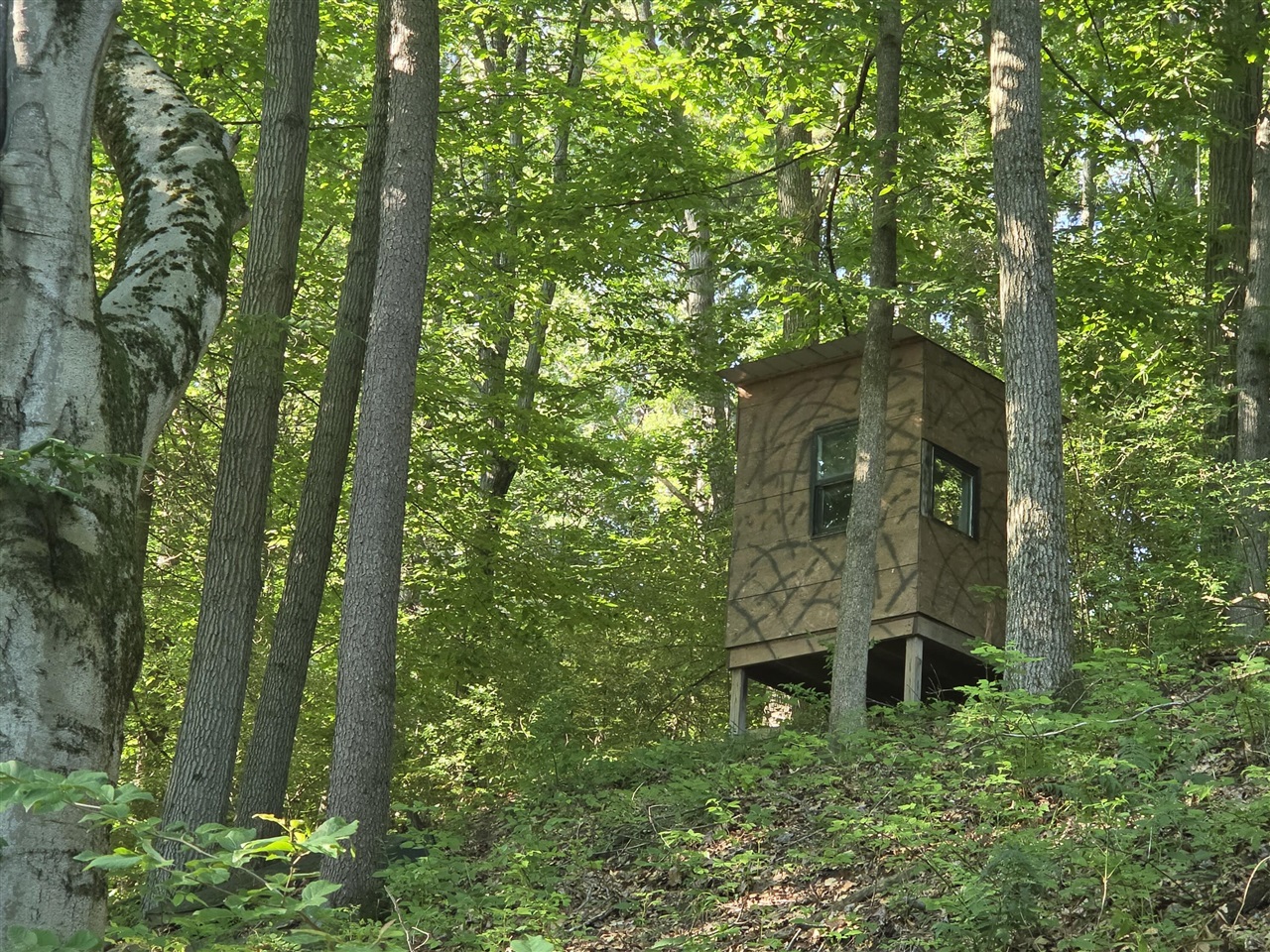 main property photo 62