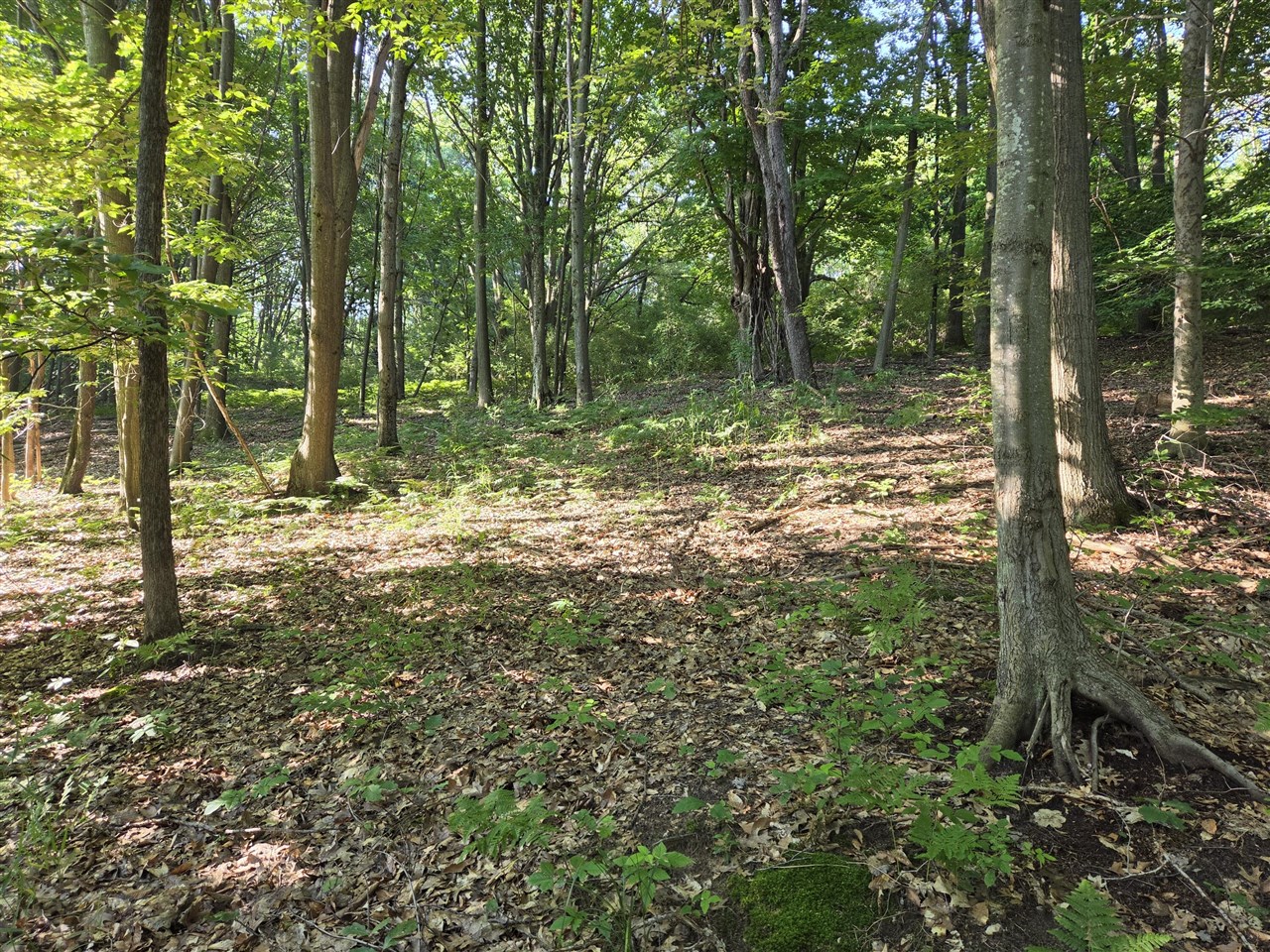 main property photo 73