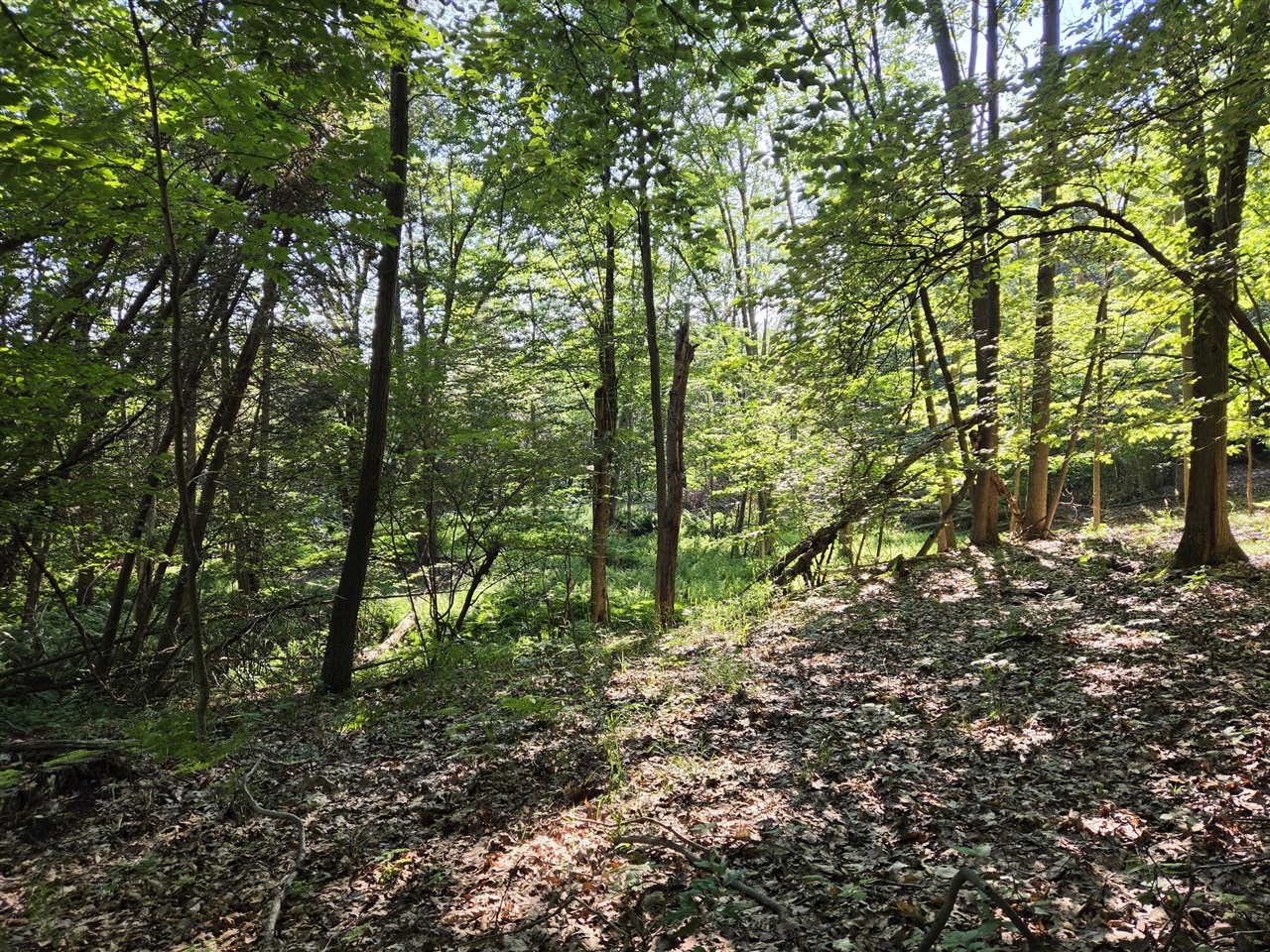 main property photo 74
