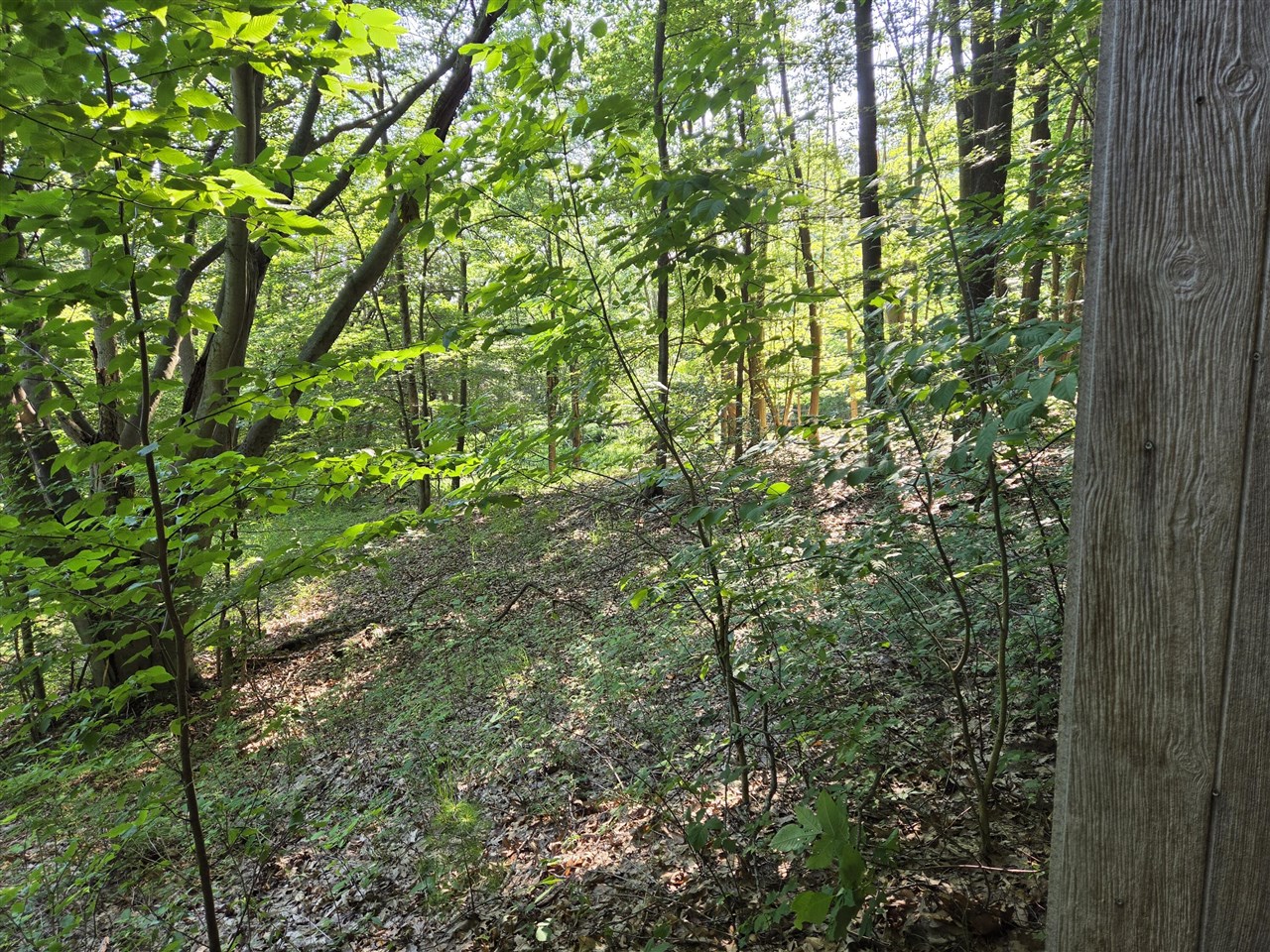 main property photo 75