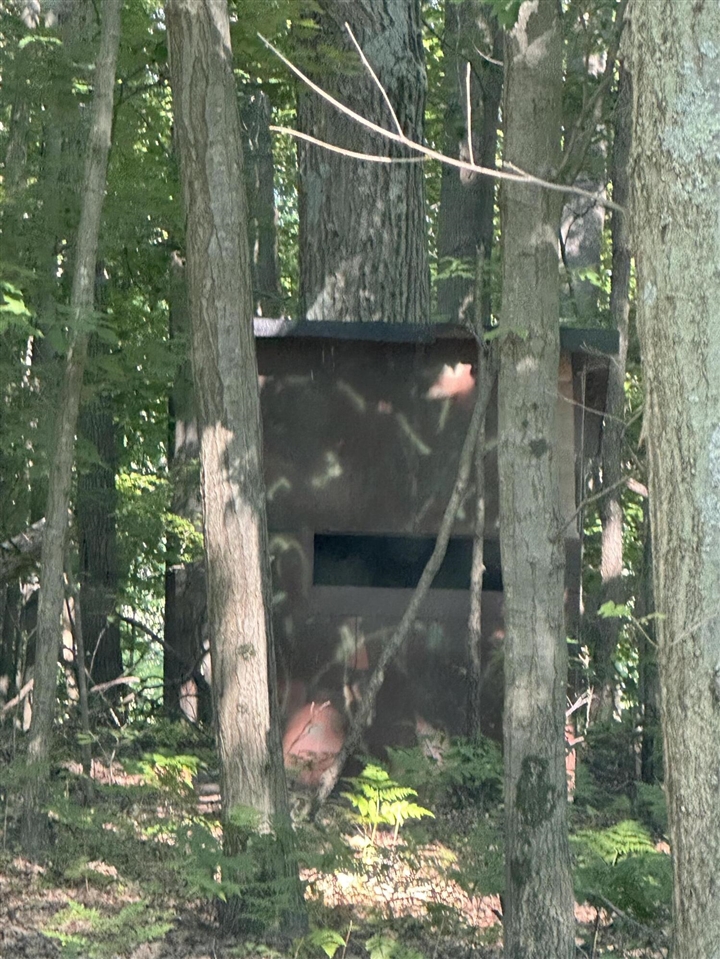 main property photo 73
