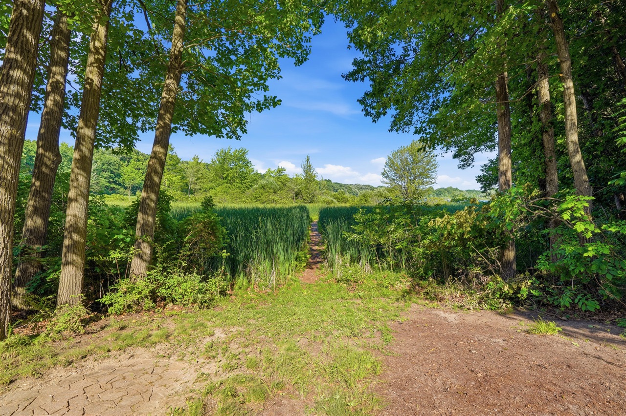 main property photo 62