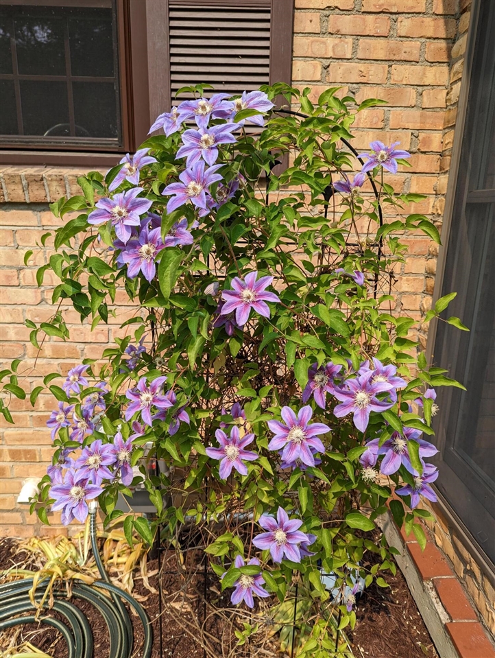 main property photo 54