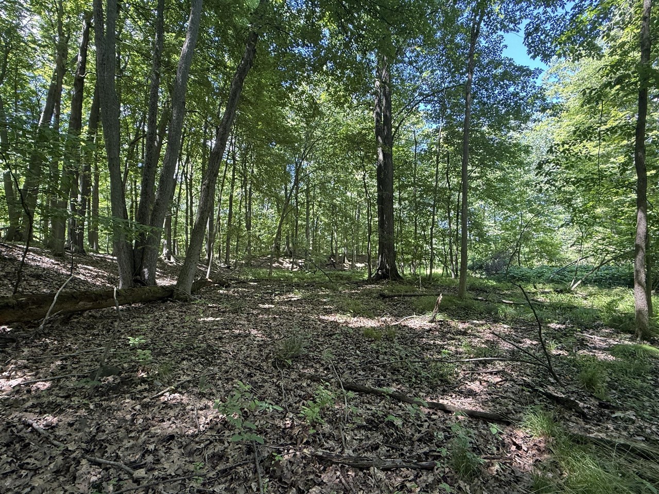 main property photo 16
