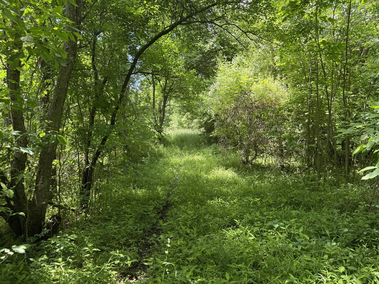 main property photo 20