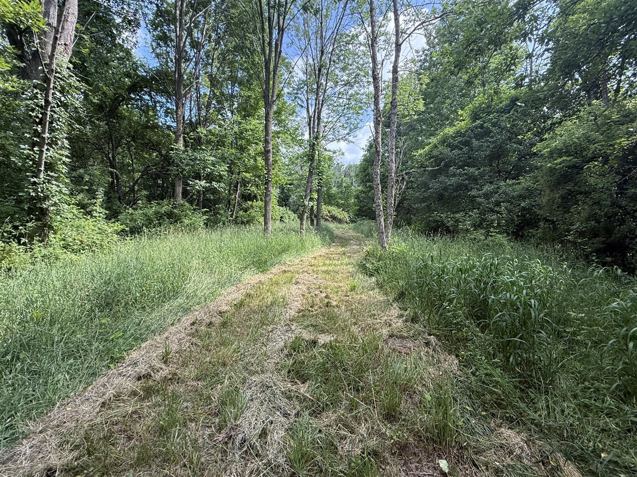 main property photo 27