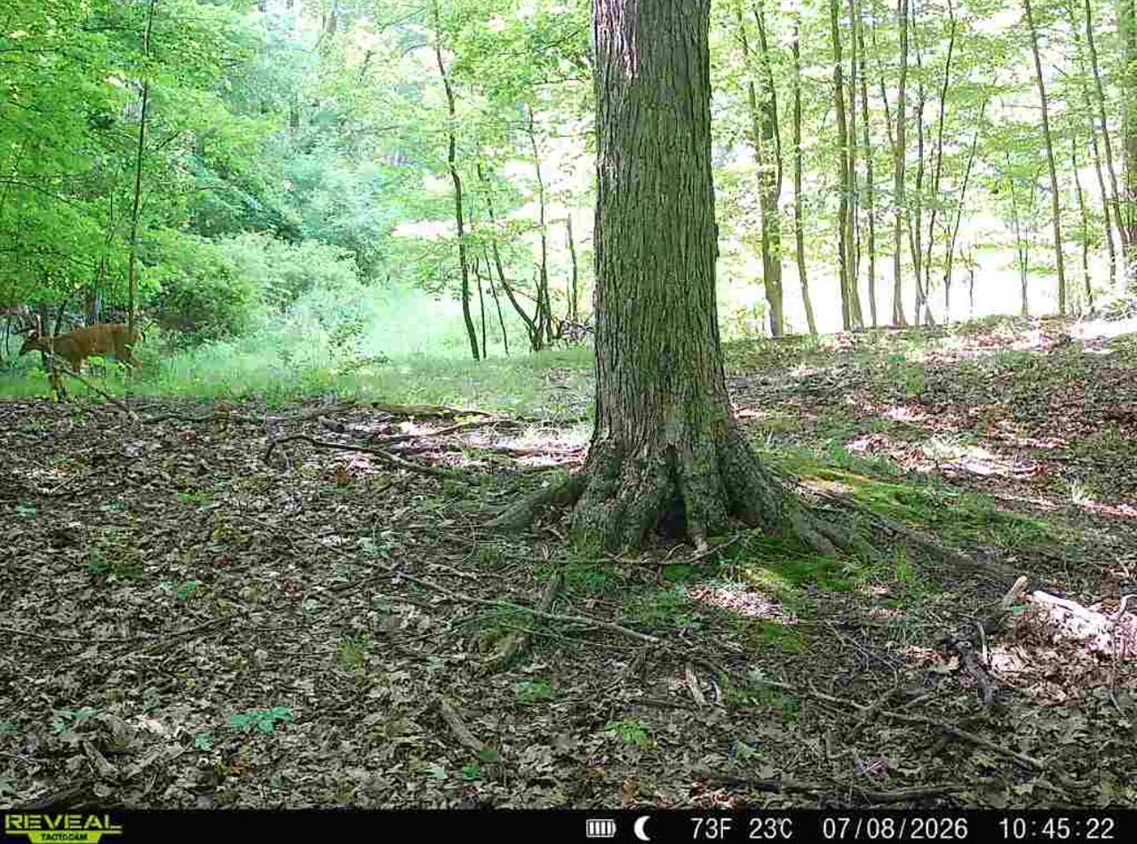 main property photo 47
