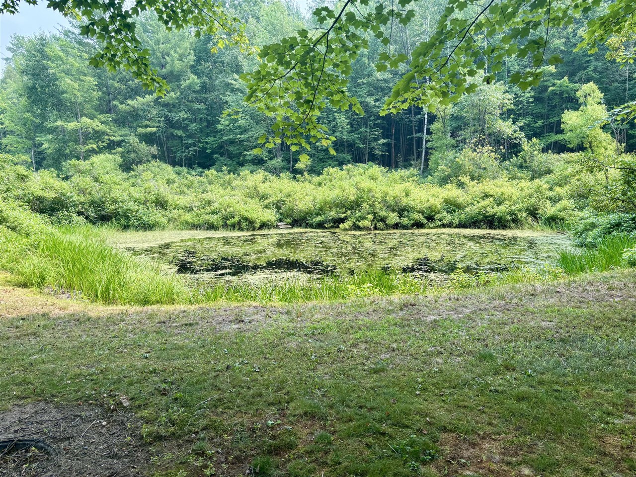 main property photo 6