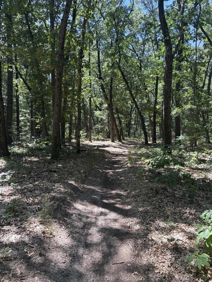 main property photo 39
