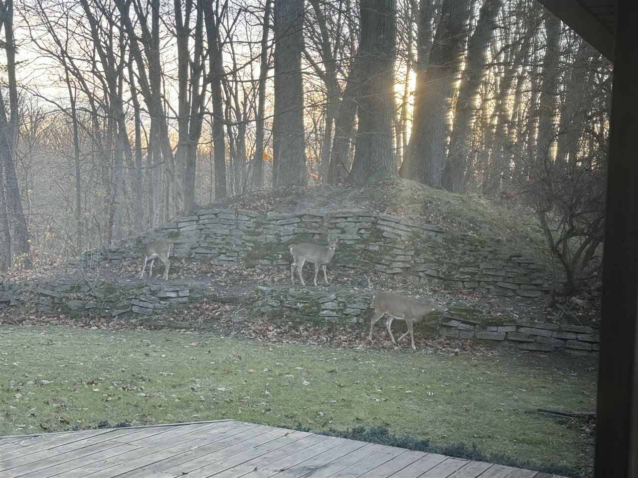 main property photo 47