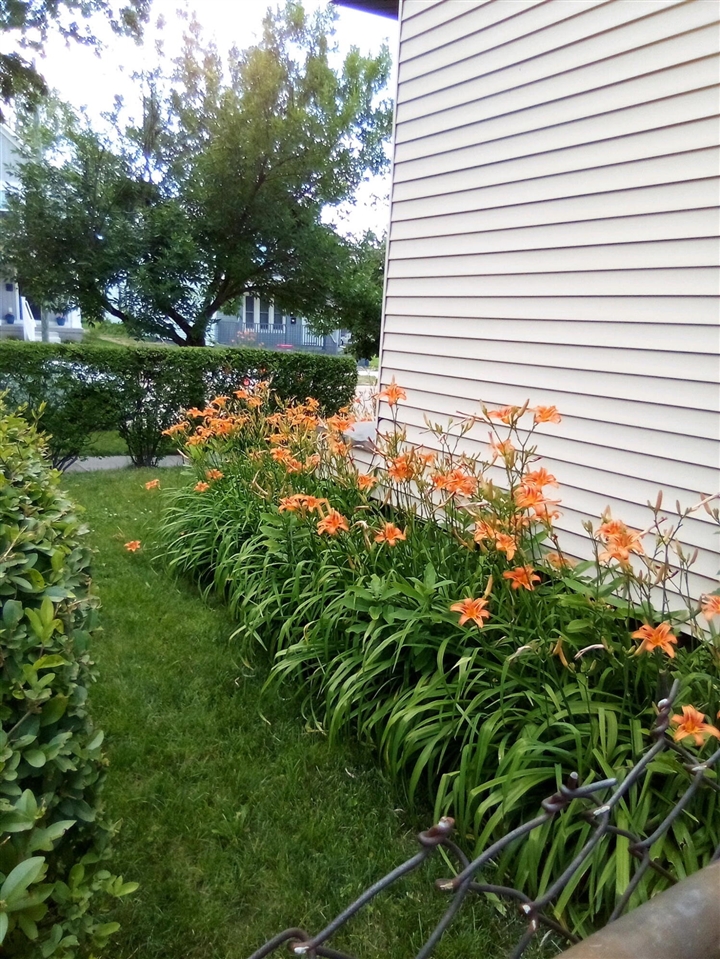 property viewer photo 36