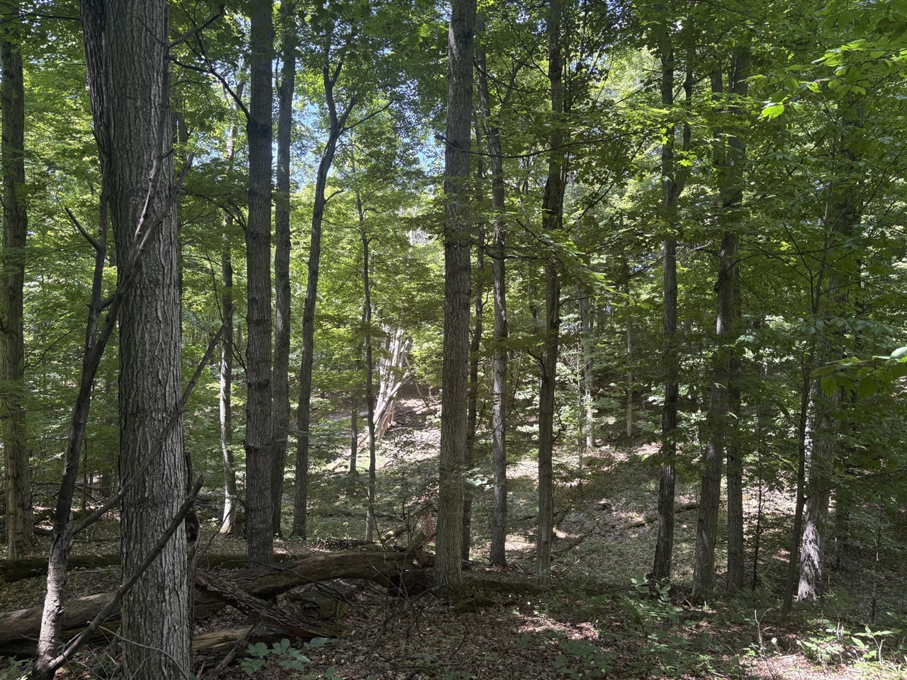 main property photo 17