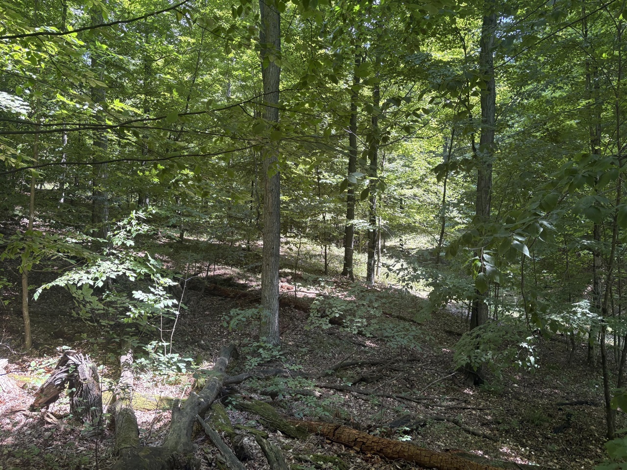 main property photo 18