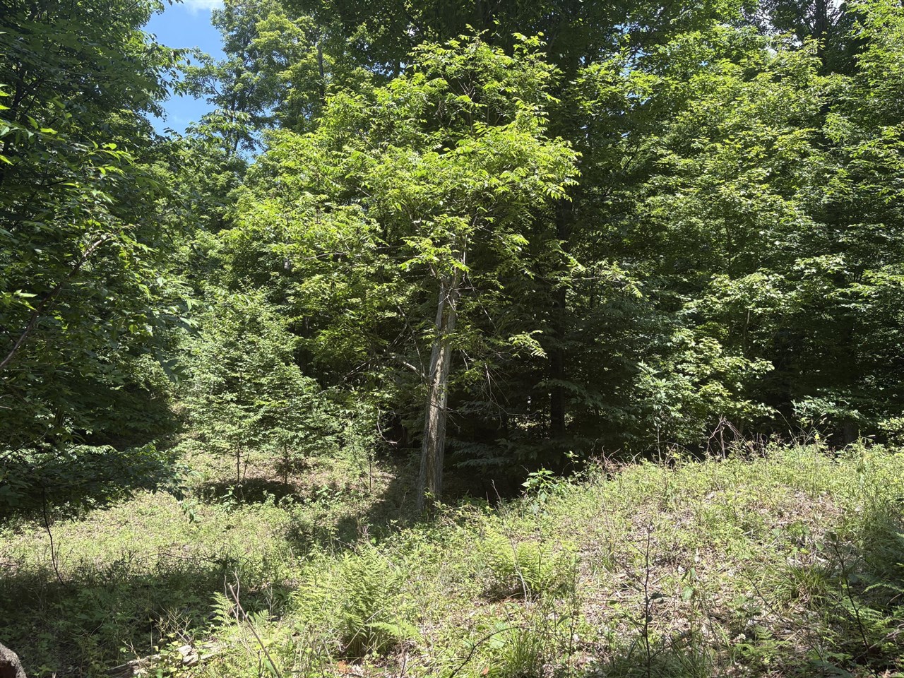 main property photo 20