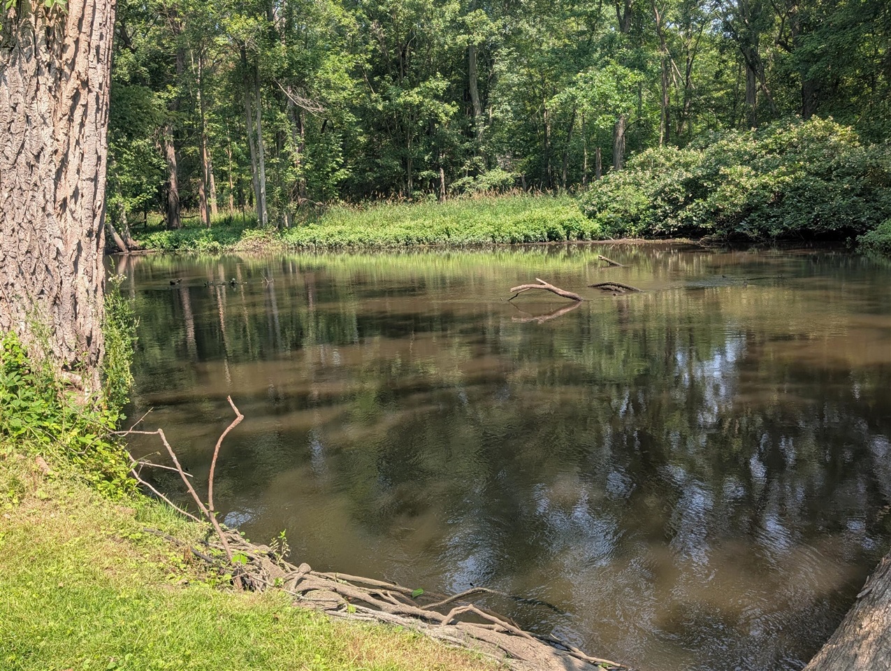main property photo 20