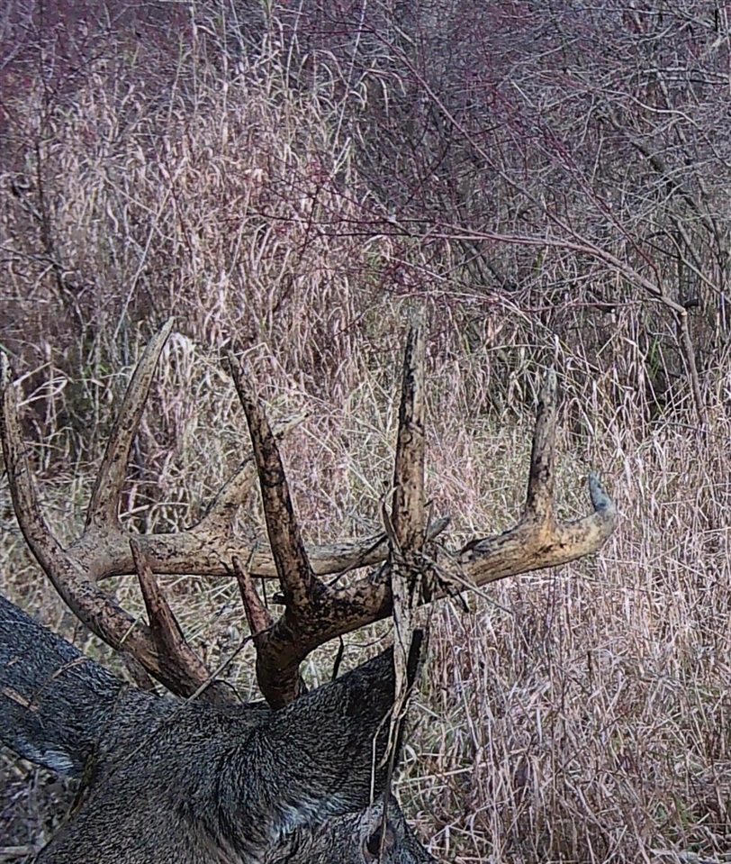 main property photo 15