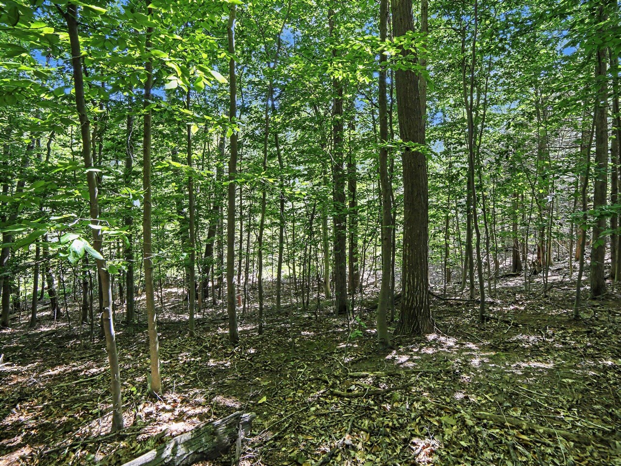 main property photo 0