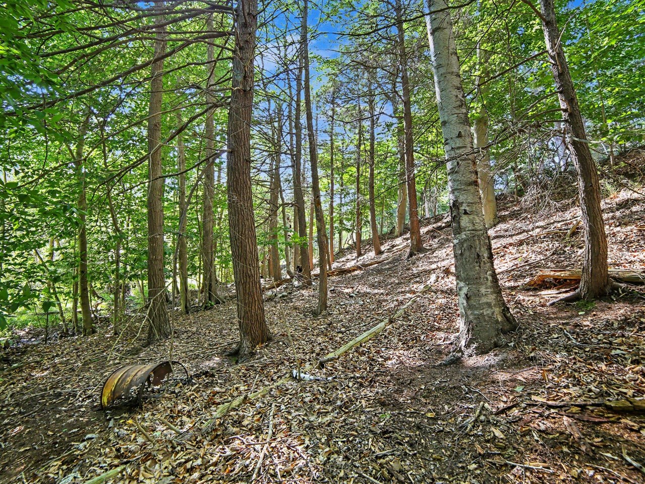 main property photo 14