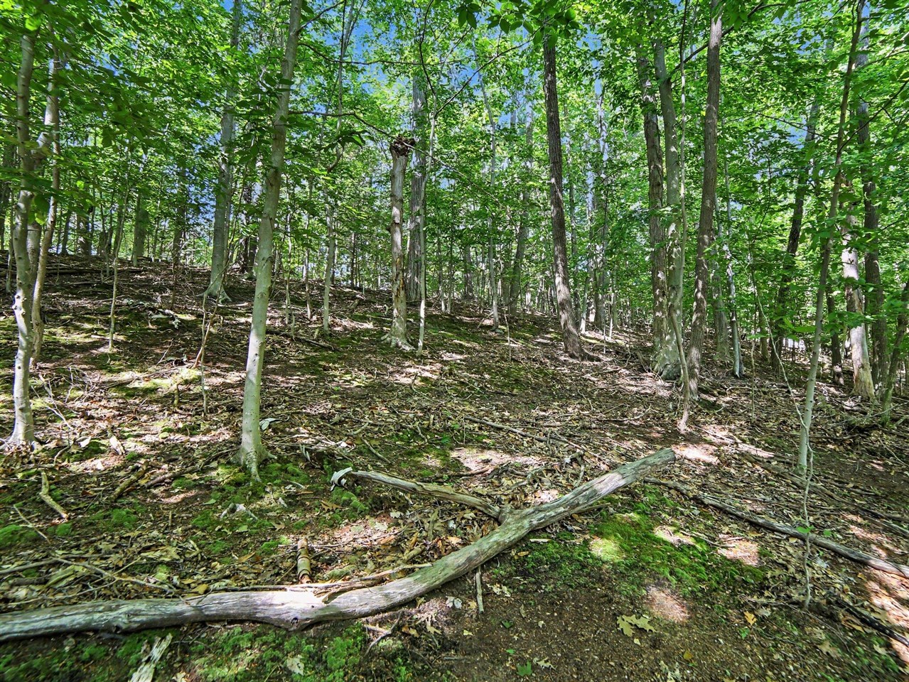 main property photo 18
