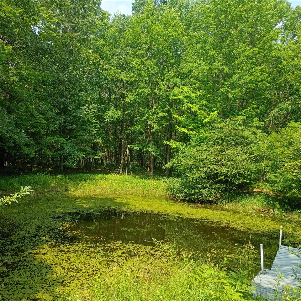 main property photo 26